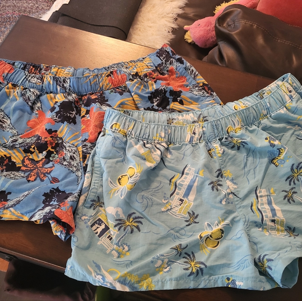 Lot of 2 Patagonia Blue Tropical Shorts